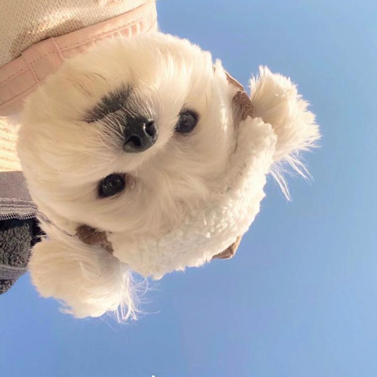 唯依宠物🐱🐶