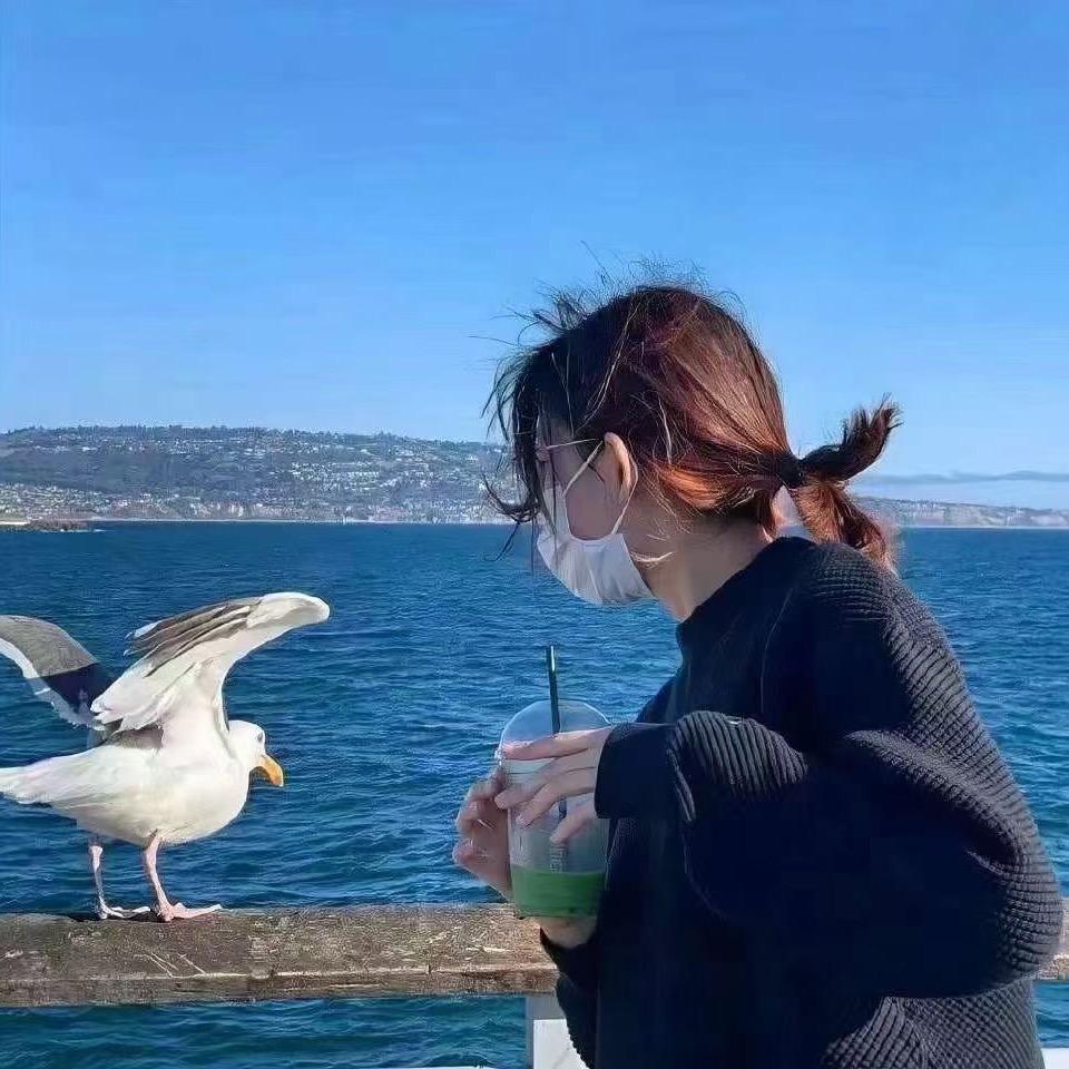 薄荷加冰🧊