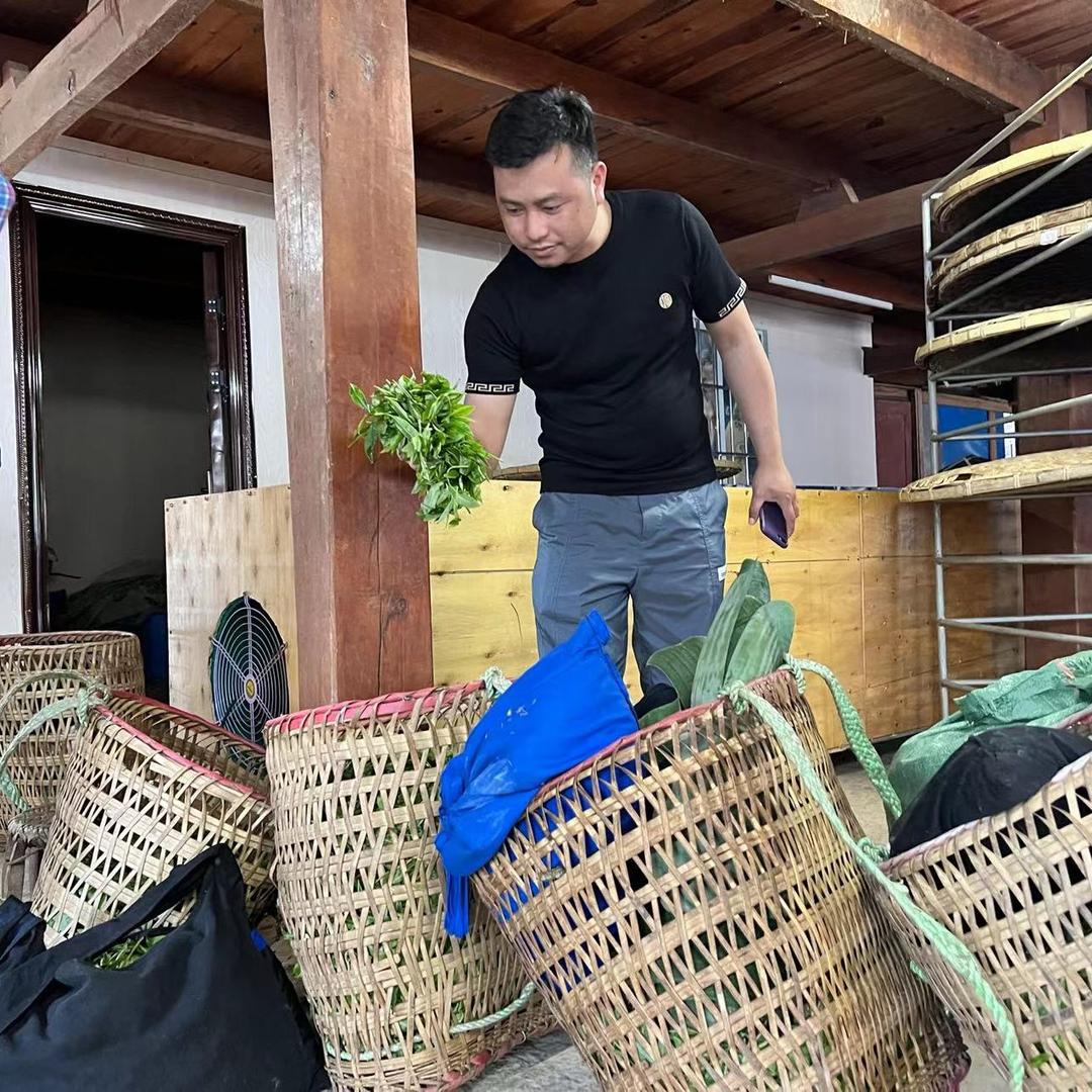 茶人小岩🍃🍂甄选普洱茶