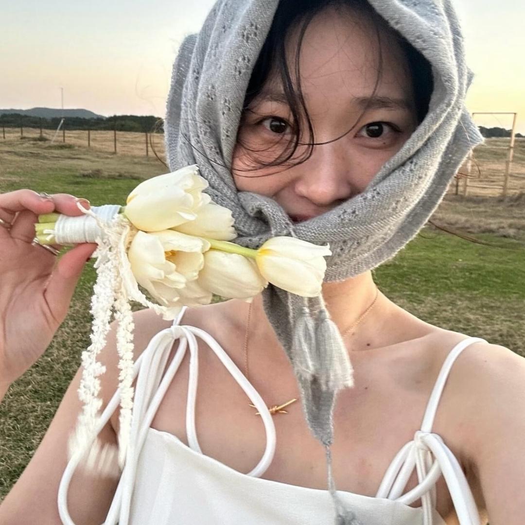 芝士的好物分享