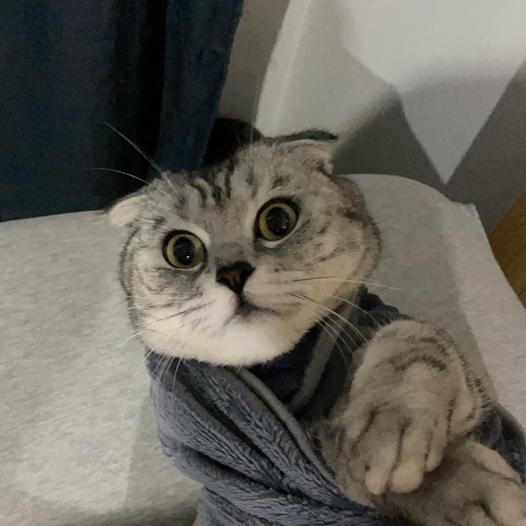 新剑侠情缘手游·夜猫子