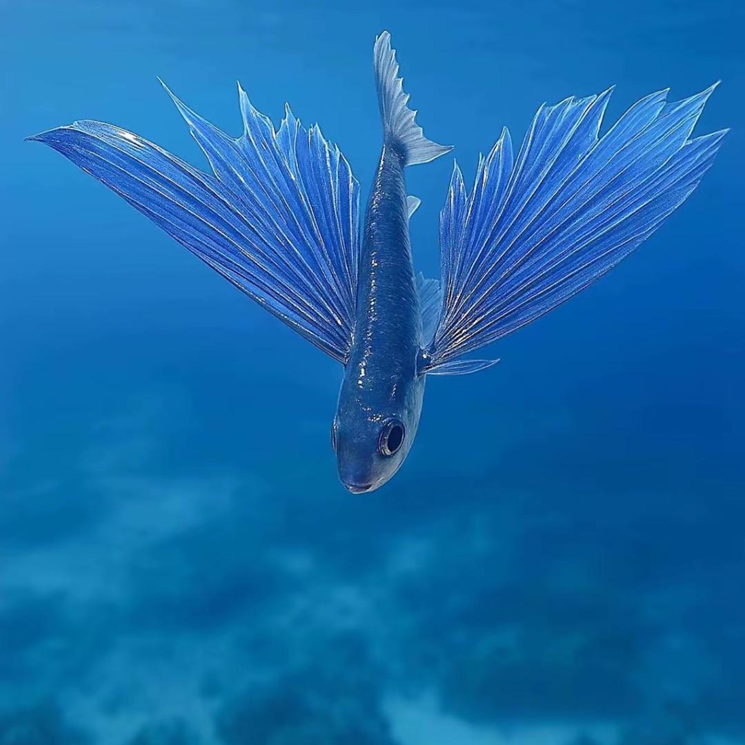 濮东小学课后服务