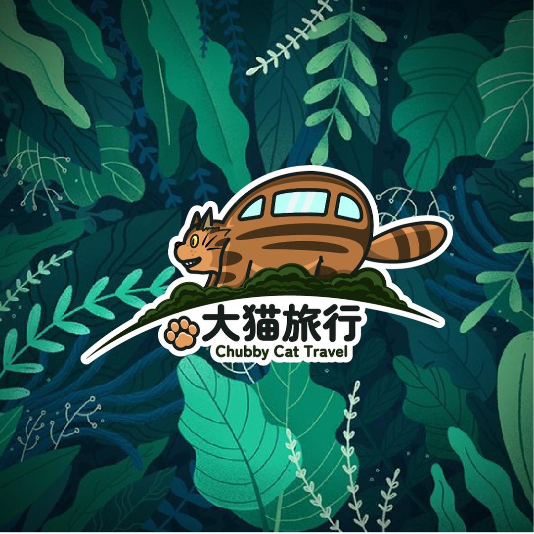 大猫带你游云南