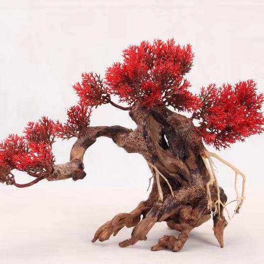 虞城年年有鱼水族