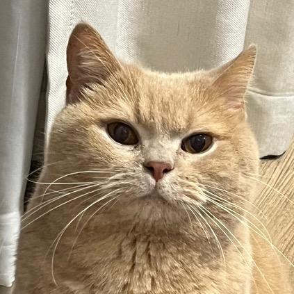 unbb