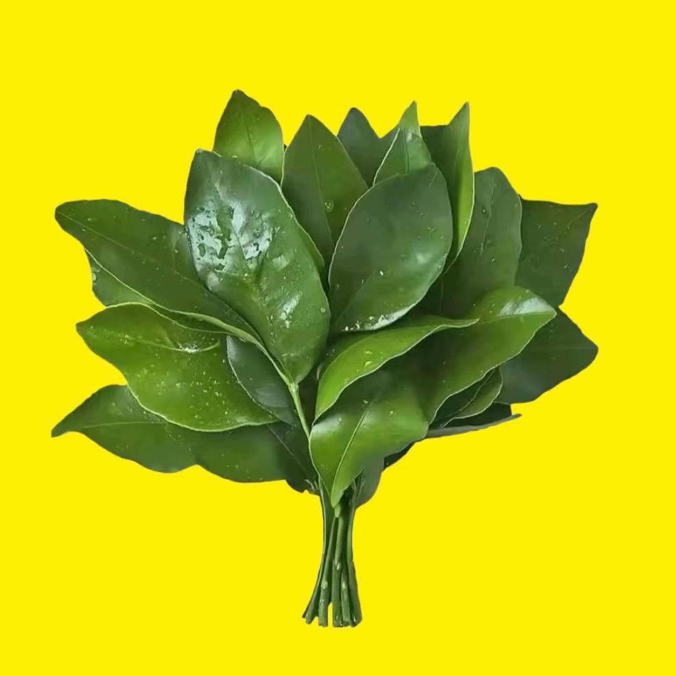 神经嘻嘻