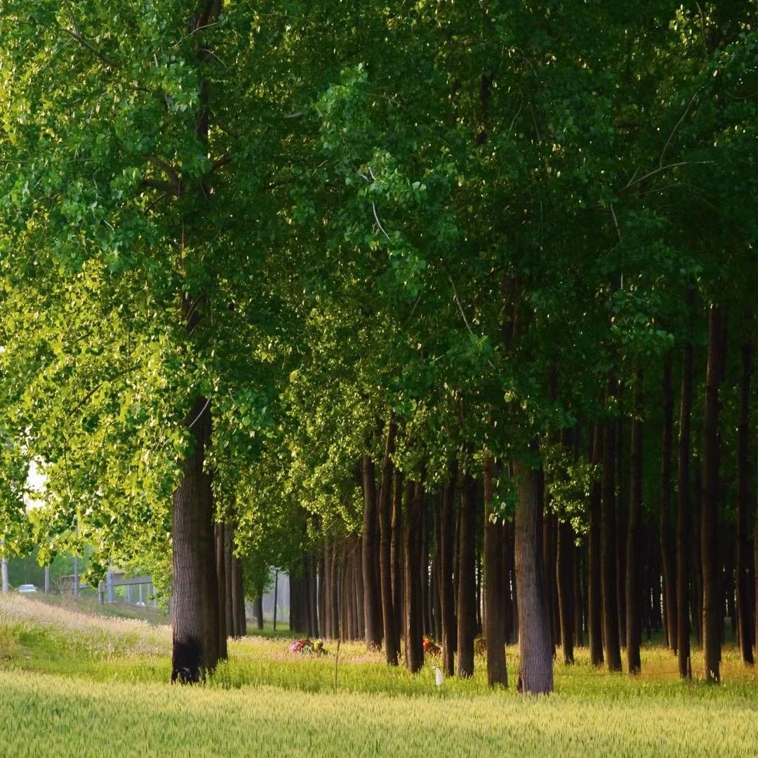 好人真的难做，我要做个坏人