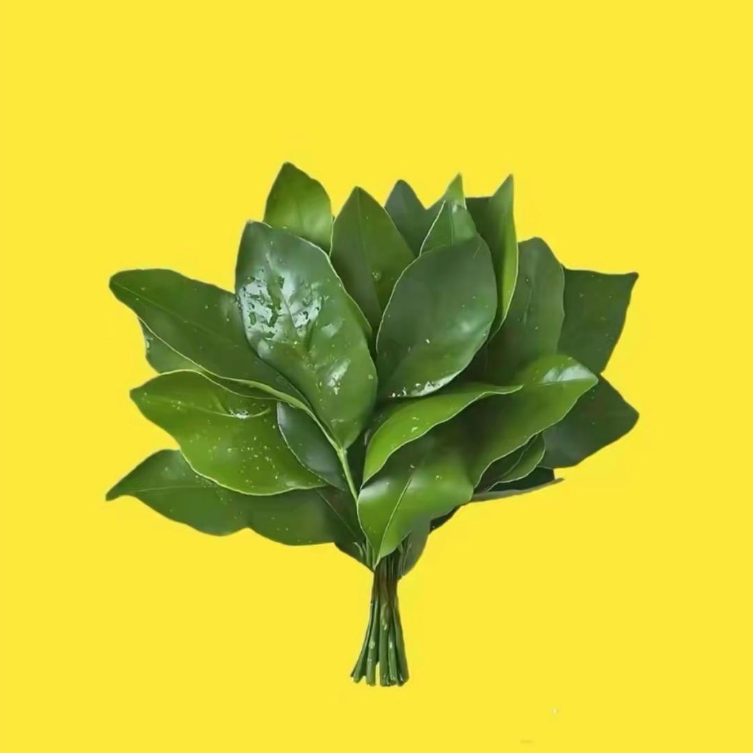 浏阳东仔·大呲花🎆