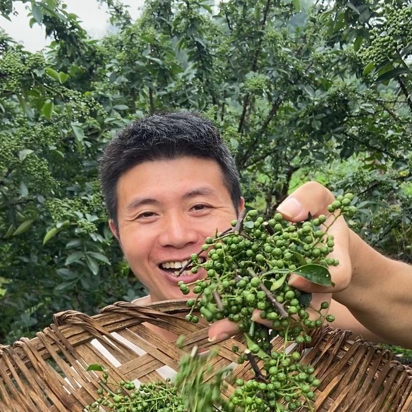 香麻仙