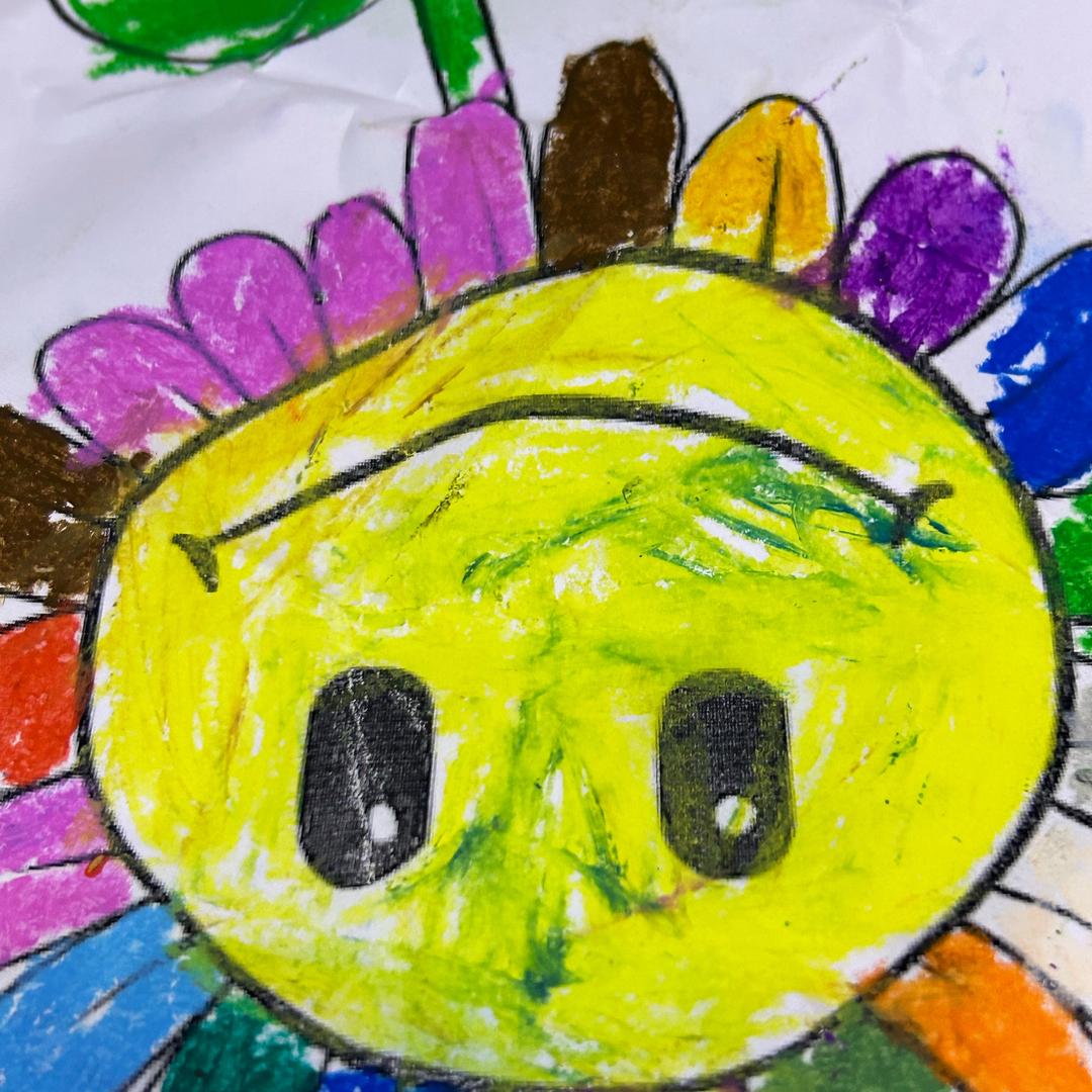 黄凤凰与粉凤凰