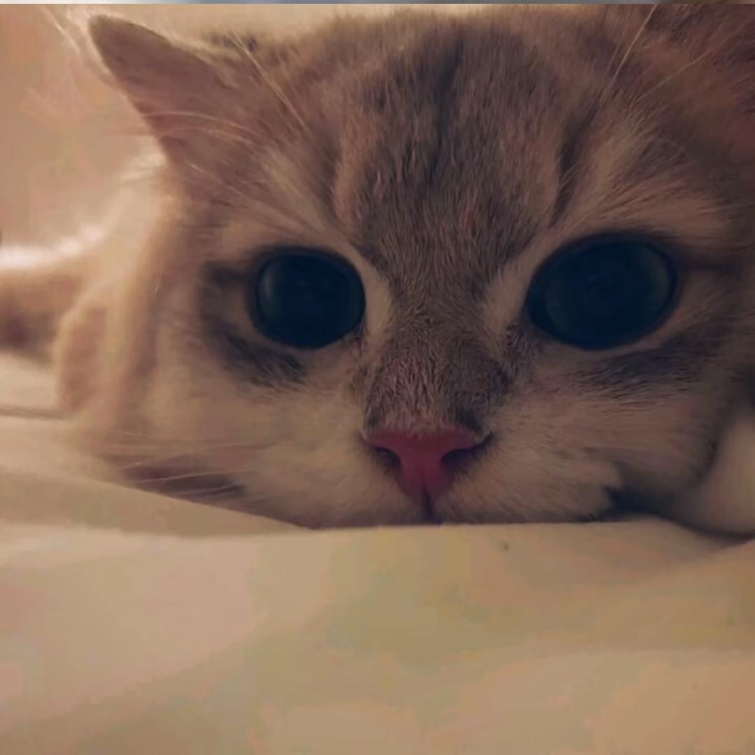 小朱的烦心事