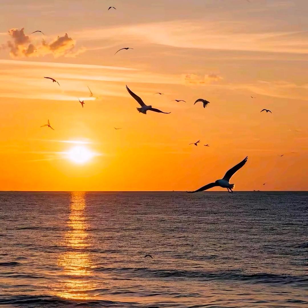 一茗耂狮，服装