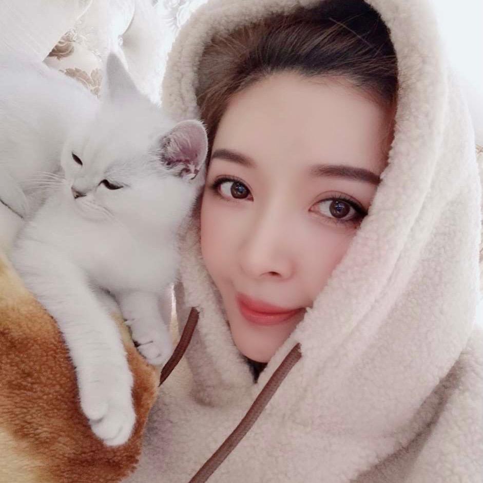 喵喵🐱