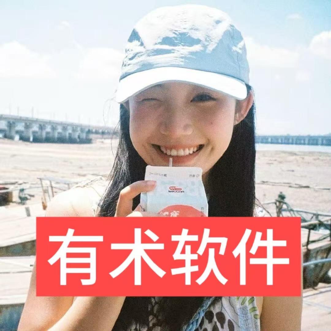 有术软件—小雪🔆
