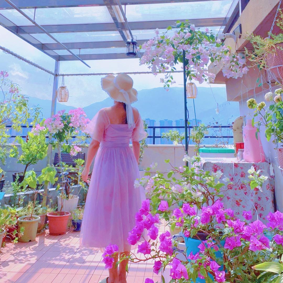 爱丽丝的花园