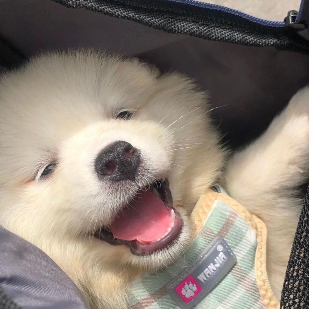 天