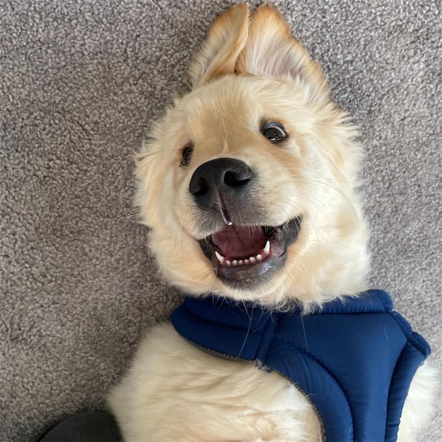 惠佰利萌妈咪宠物用品专卖店