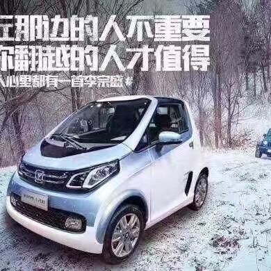 泰兴市牛牛新能源汽车