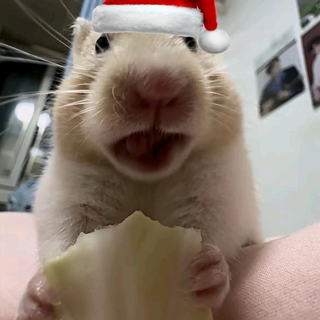 鼠老师（800天快乐～照顾好自己