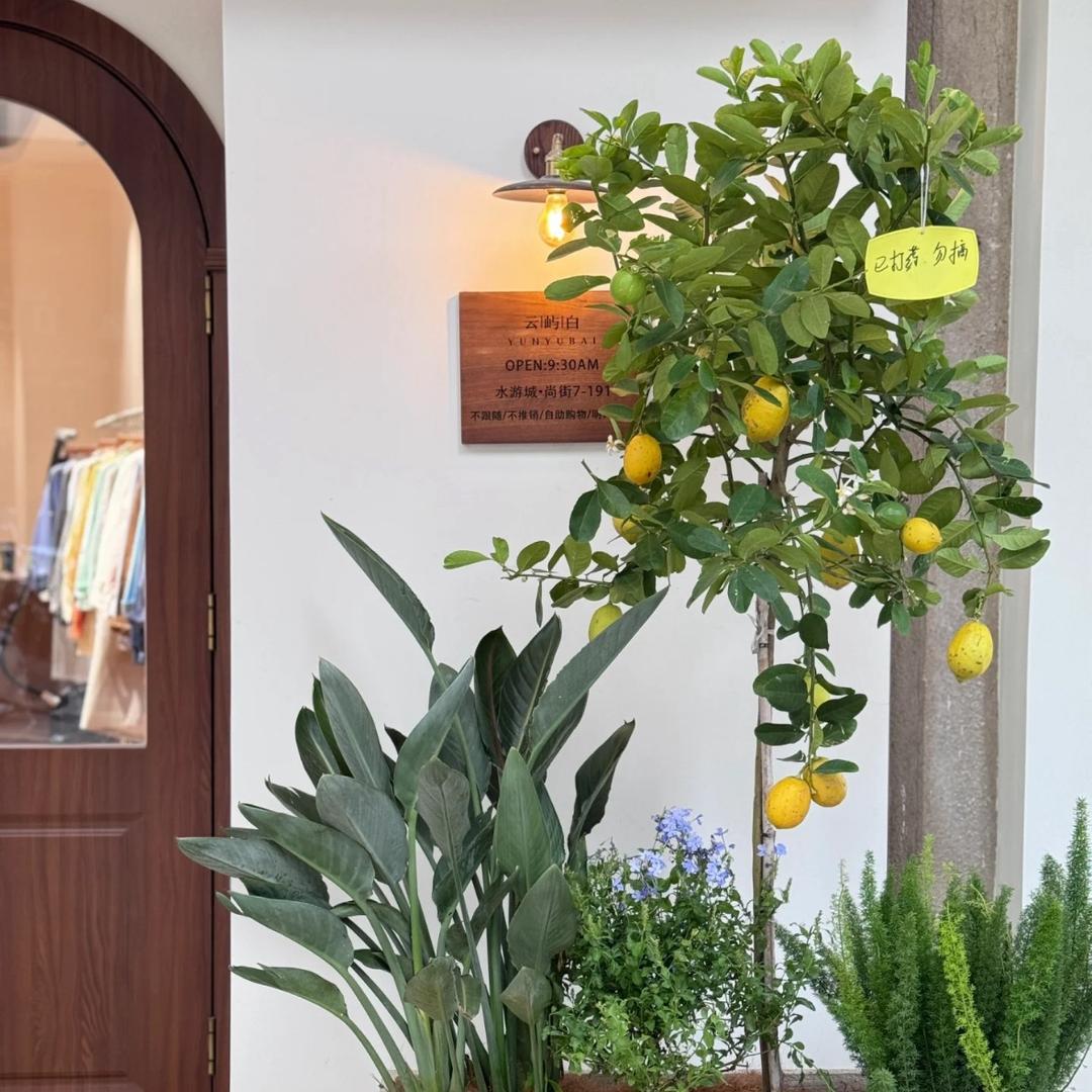 尤品艺园精品店