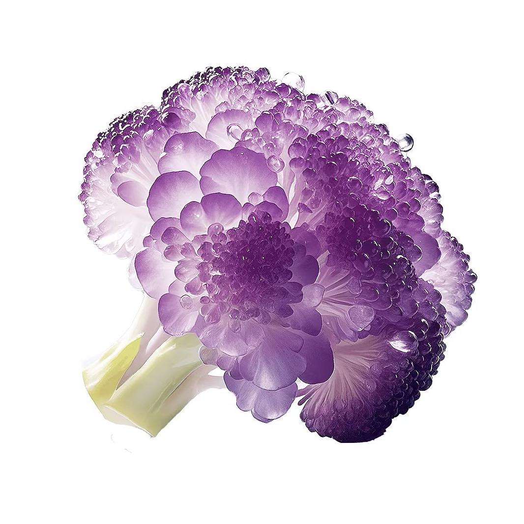 迷情西兰花