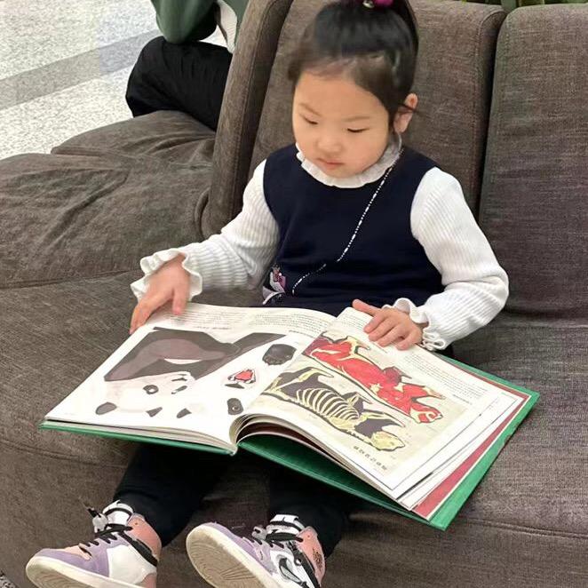 双林老师