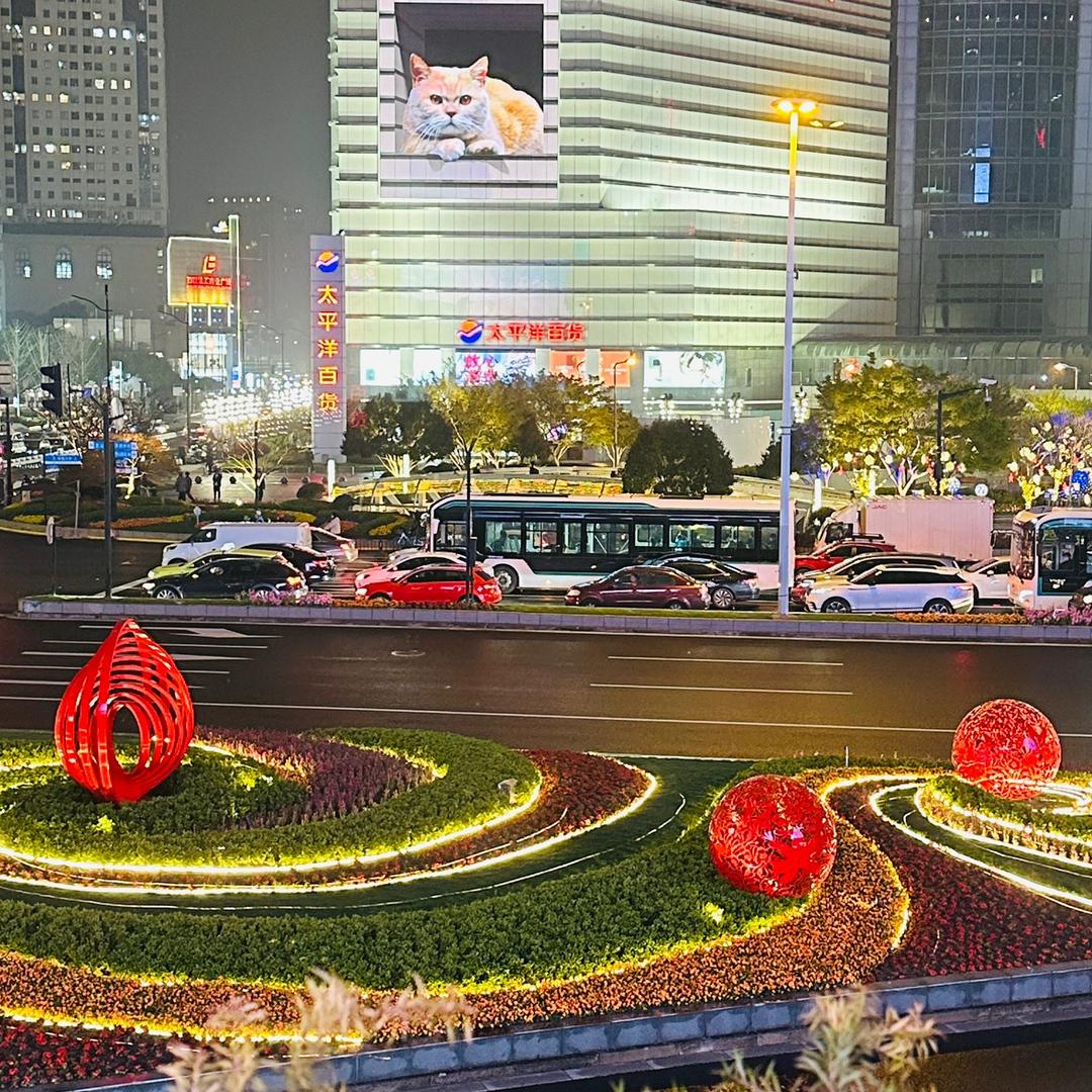 莫妮卡────♪