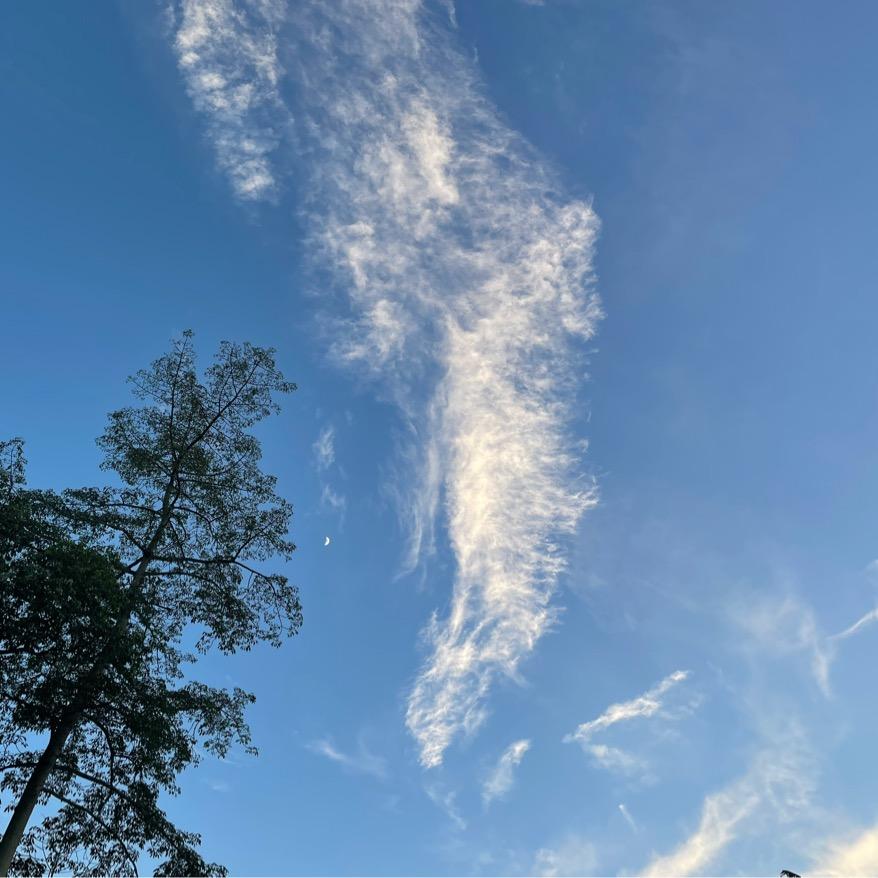 哪里有🌈请告诉我