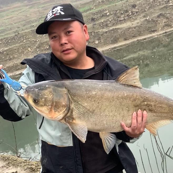 @高毅钓鱼🎣