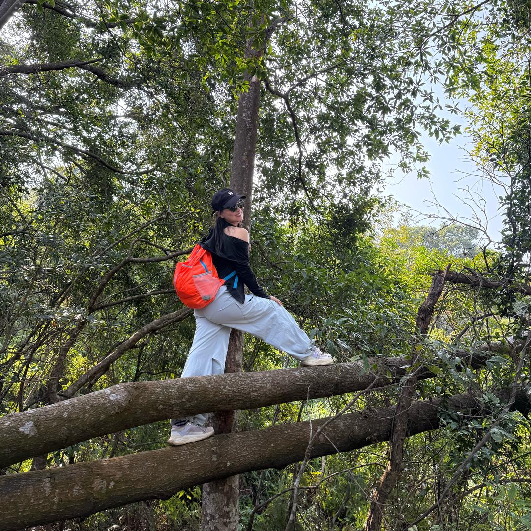 微风～～轻轻吹