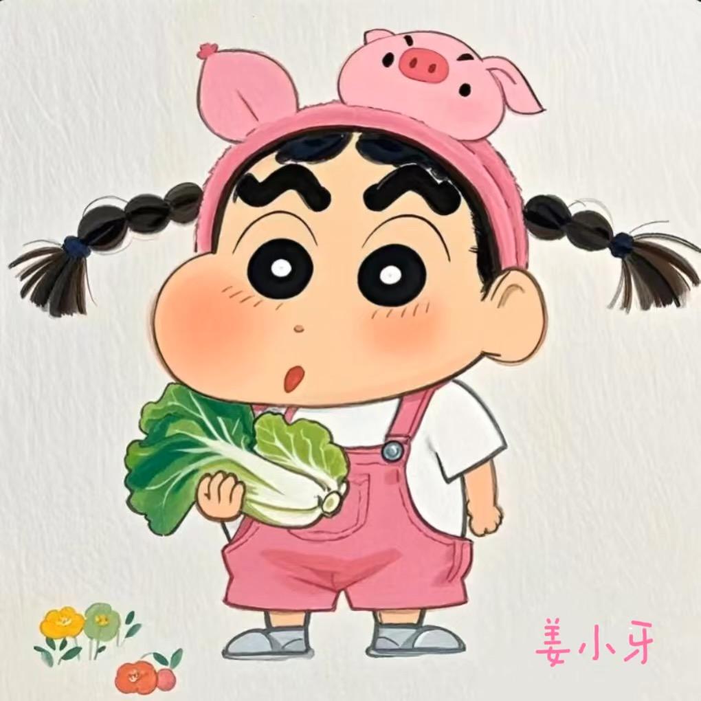 姜小牙 微胖大码女装优选