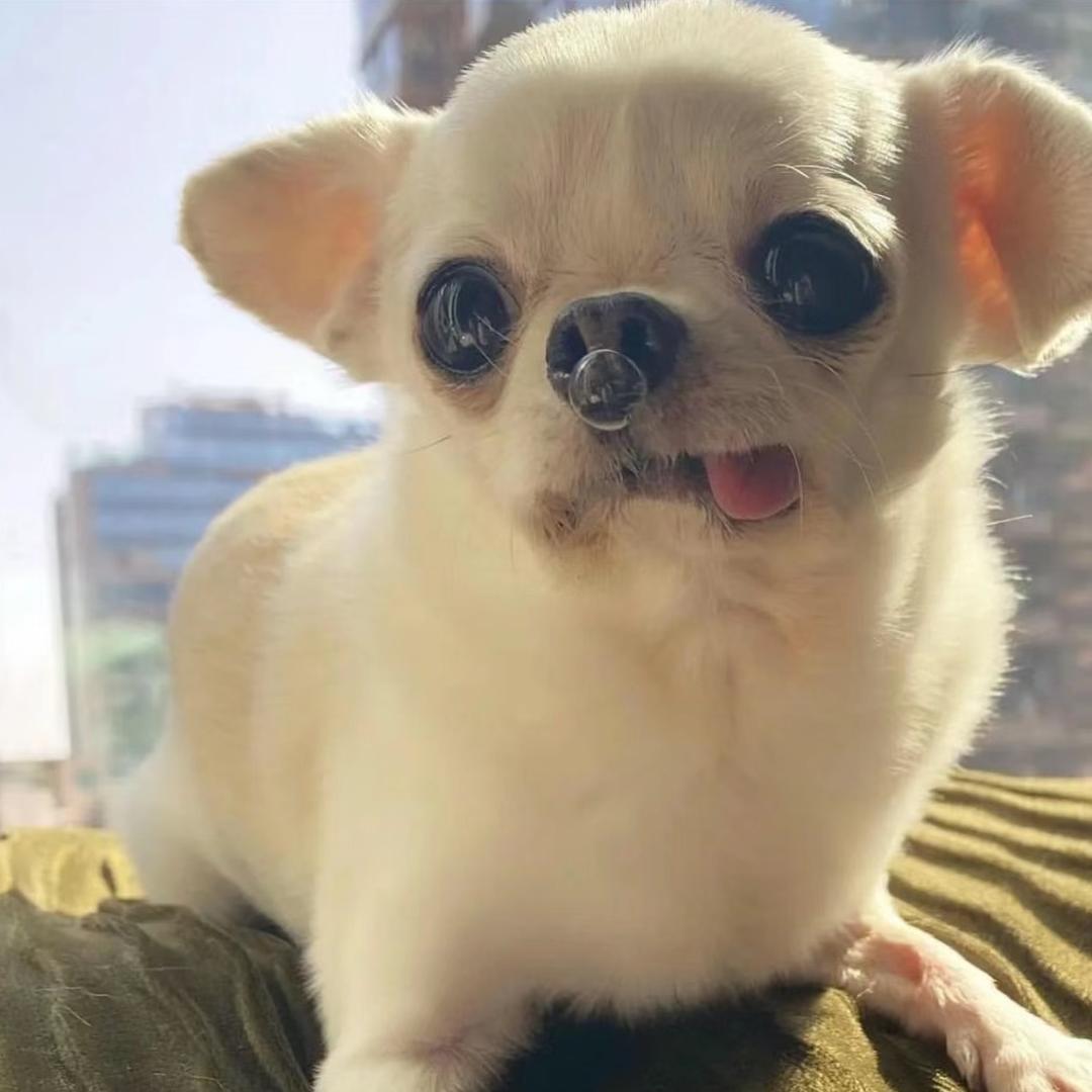 我叫熙熙