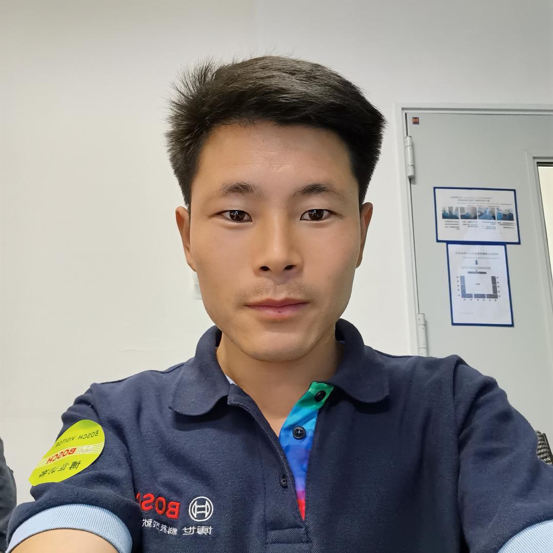 博世柴油系统服务站(青海格木尔店)