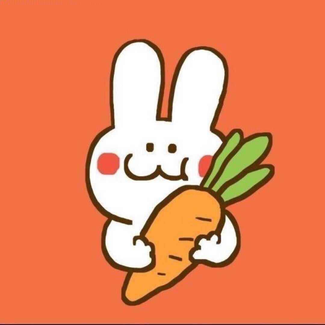 大白菜