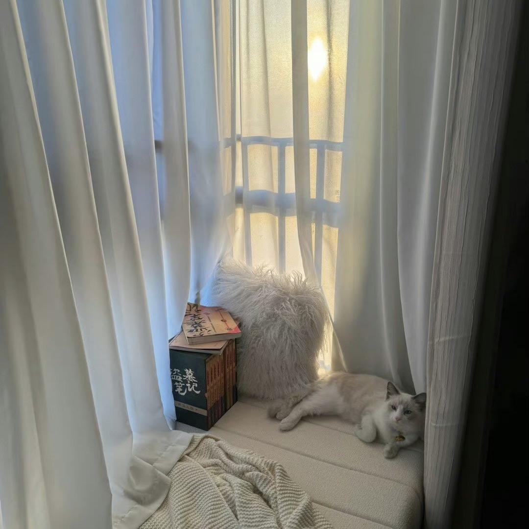 乐乐小肥羊