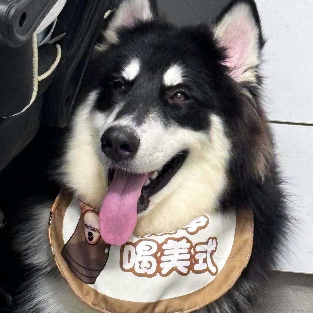 胖宝宝🍼是闷墩呀