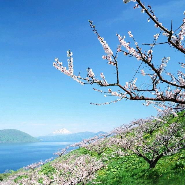 老丁山紫砂2号