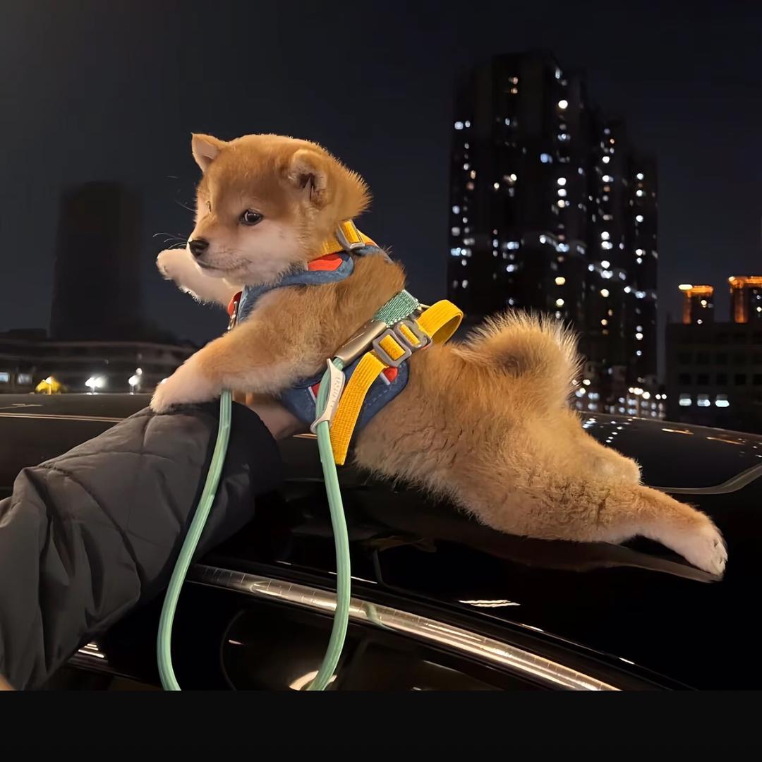 不会再见面了O