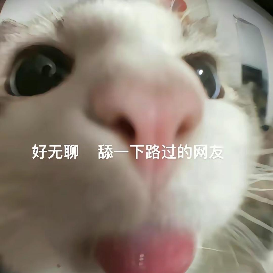 八十岁大爷痛失痔疮. •᷄ᯅ •᷄