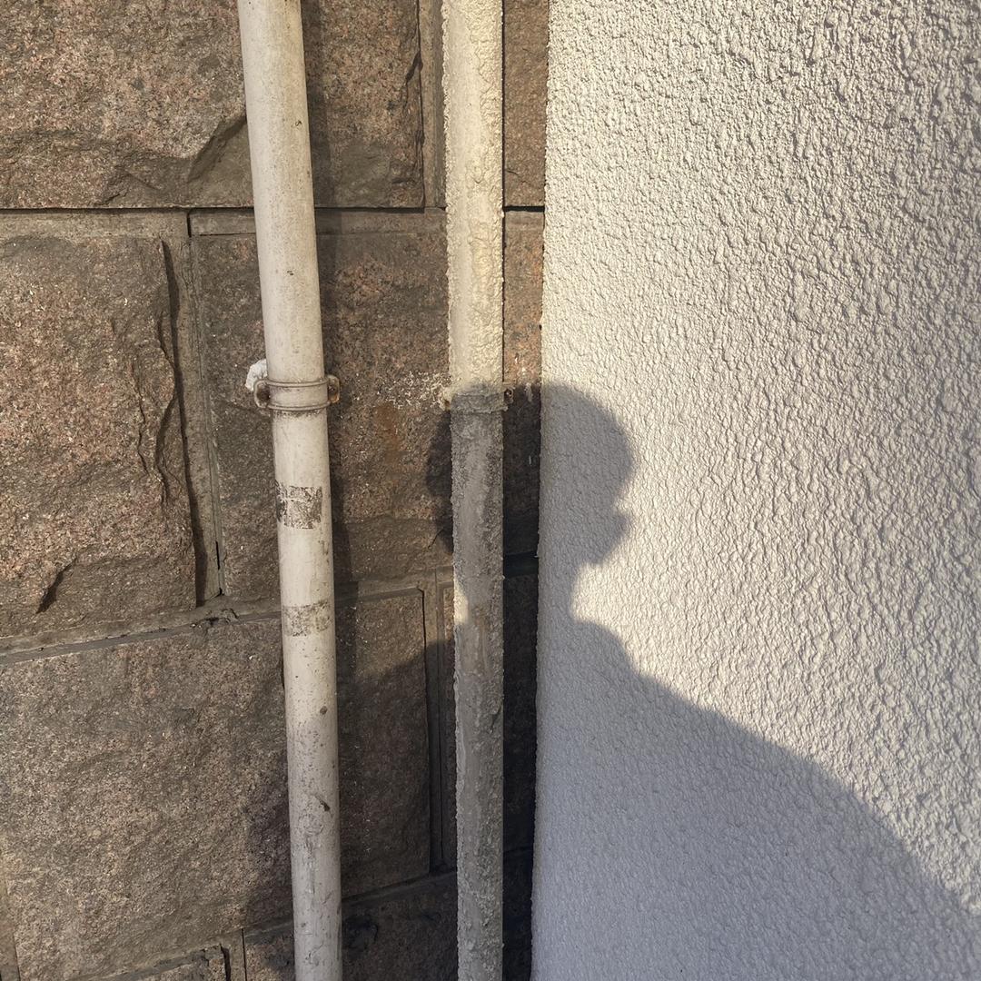 瓜博guapo（日常版）