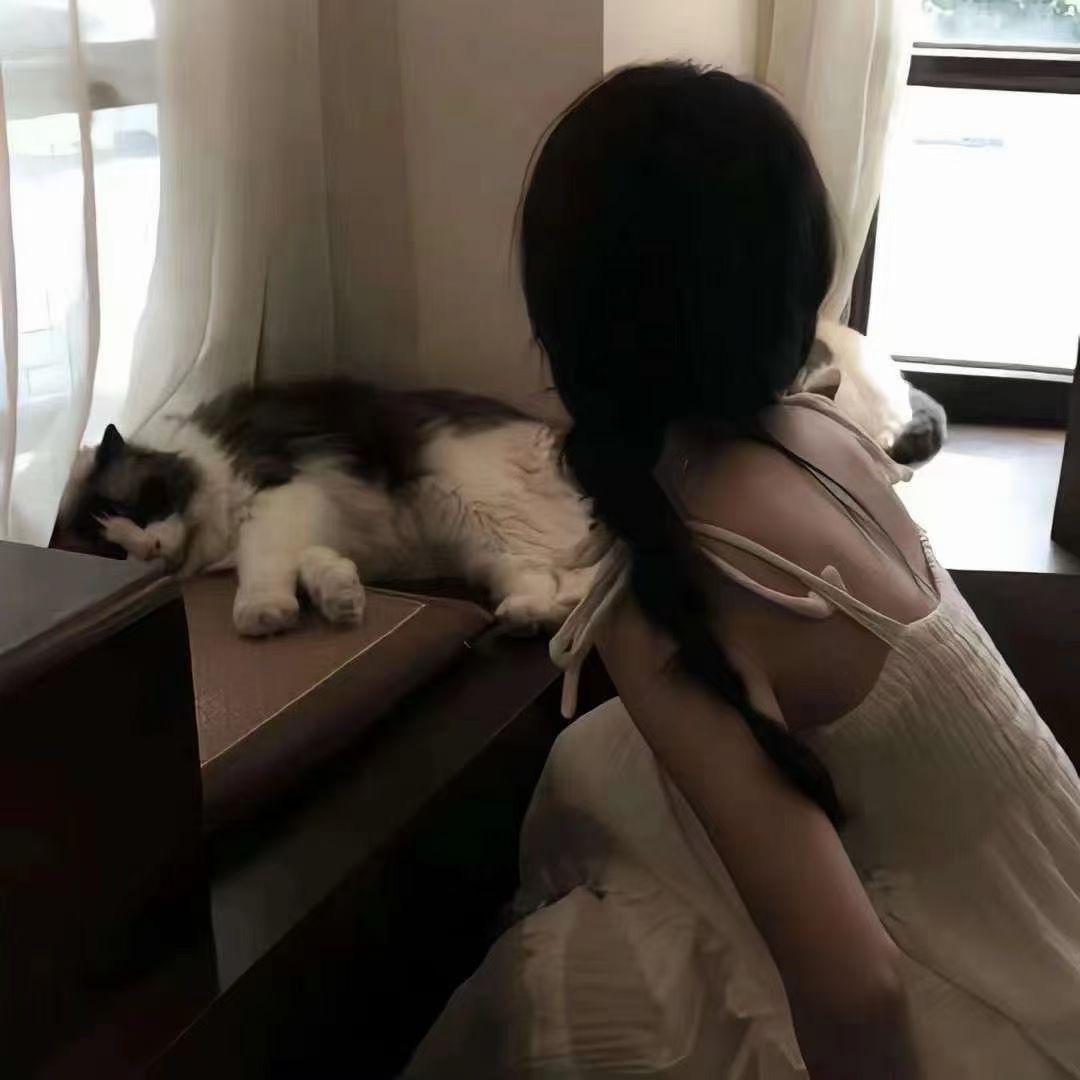 仙女味的猫