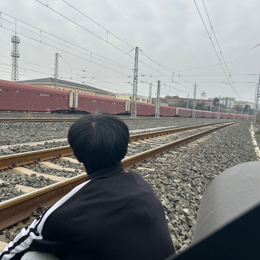 老李家的小王