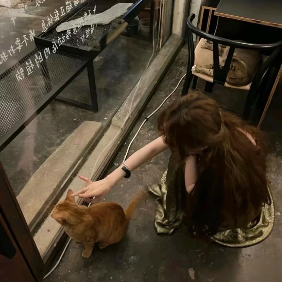 @🍼盖