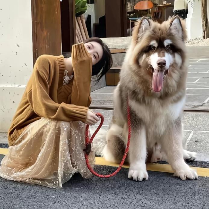 雅oo·
