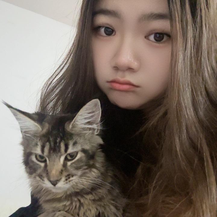 东莞市常平犬舍（常平店）