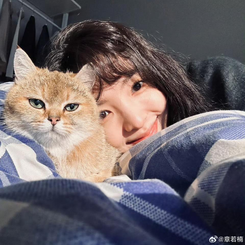 小丸在睡觉