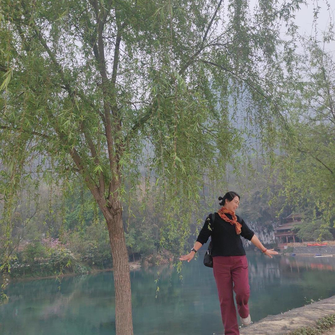太阳花在巴马