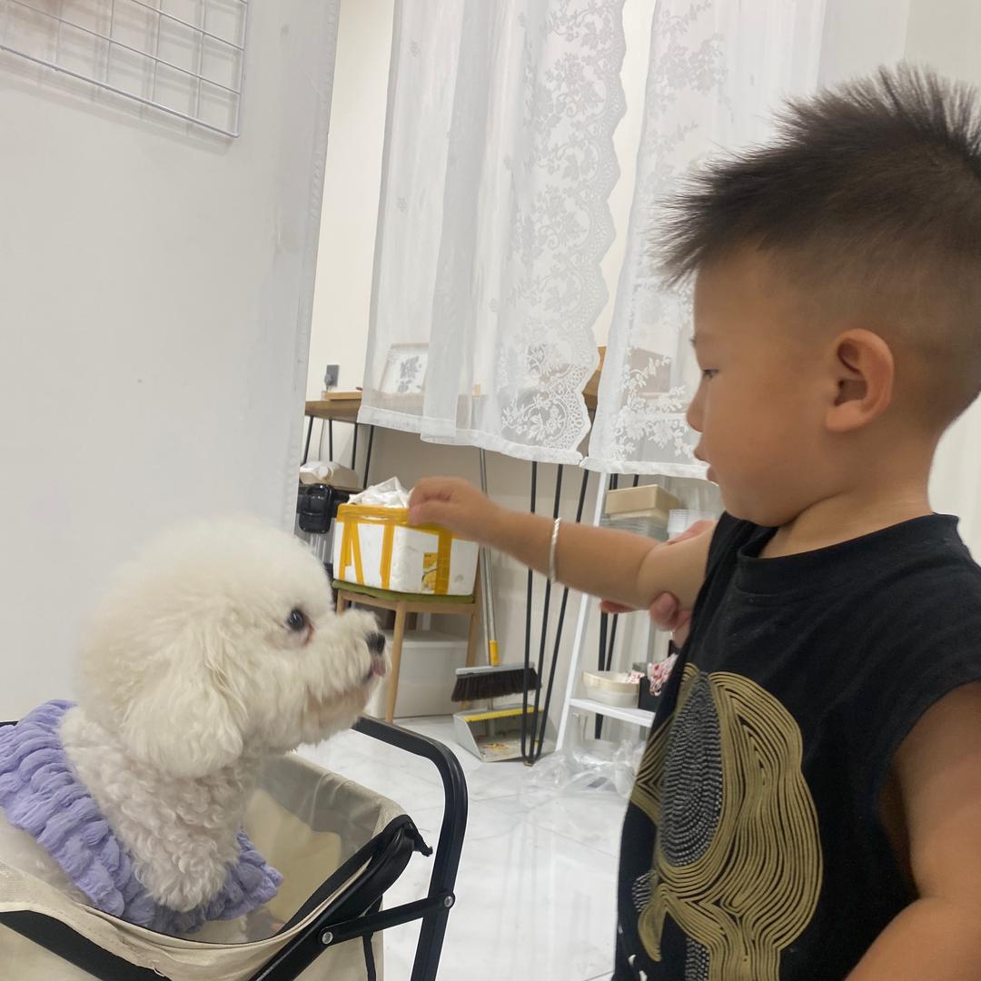 奶龙打不过奥特曼
