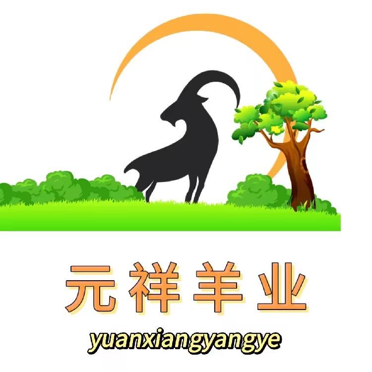 黑山羊调运～小王