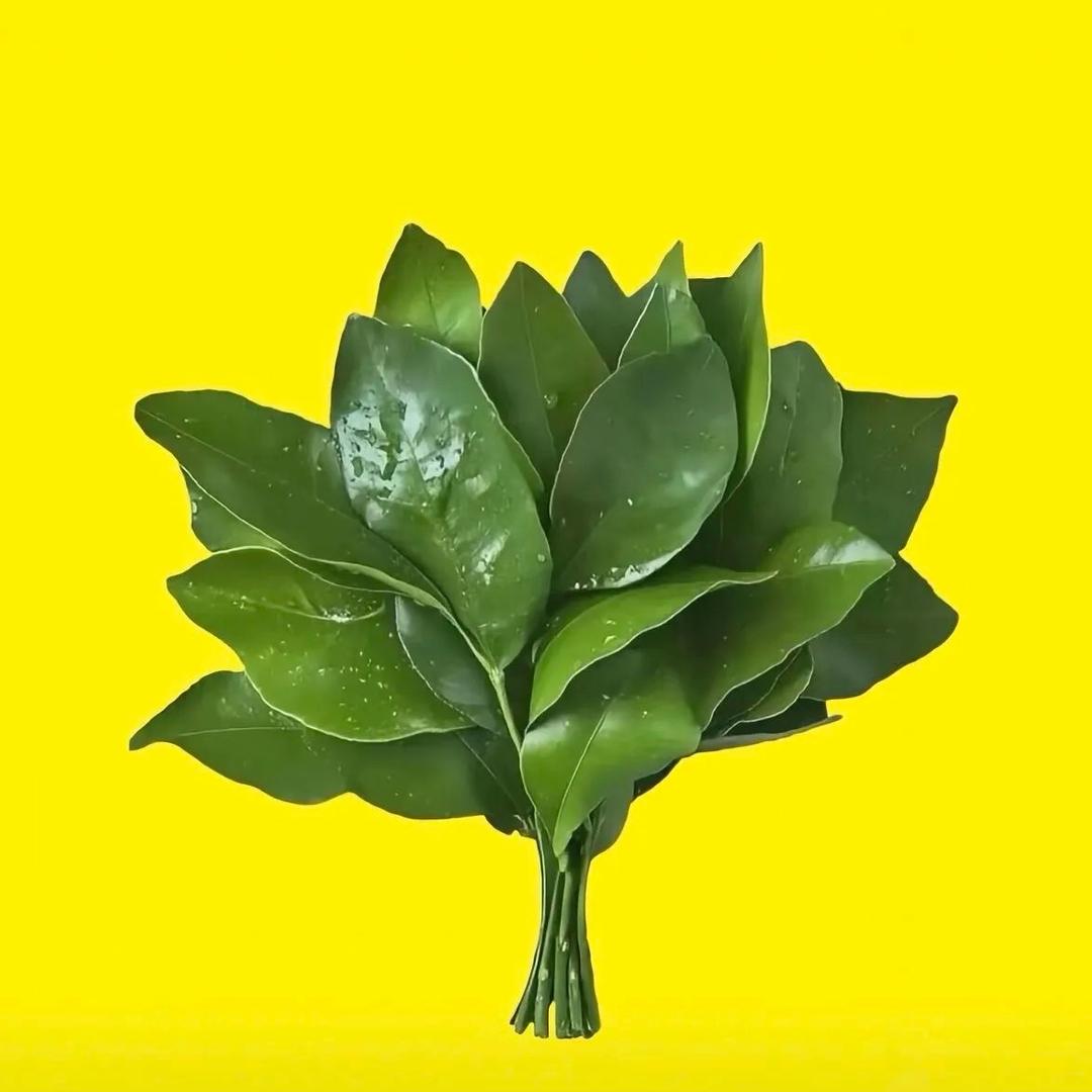 0609.(绿能优久新能源）